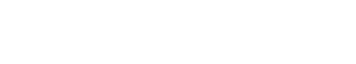 Career